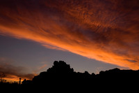 Joshua Tree