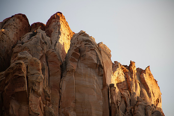 Sunlit Crowns - Utah