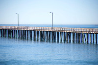 beach-sycamore-18-selling