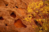Autumn Against - Utah