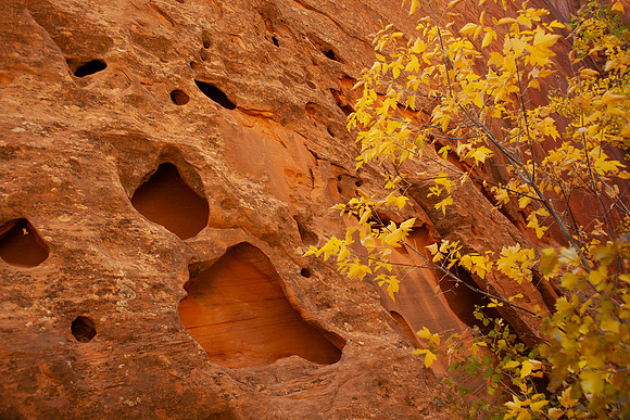 Autumn Against - Utah
