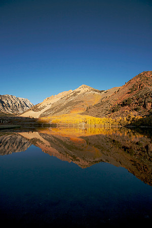 Golden Reflection - North Lake