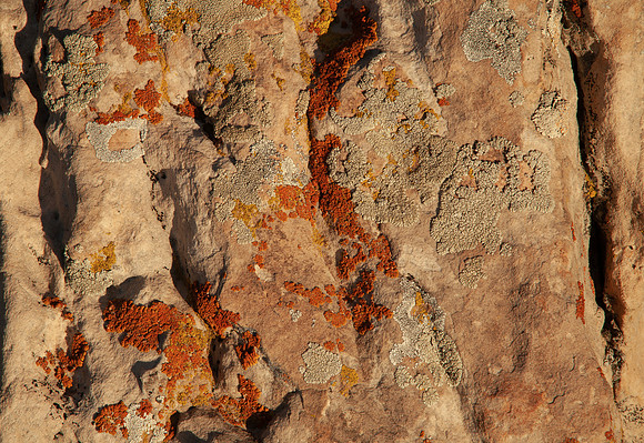 Colors Written in Stone - Utah