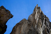 Reaching for the Sky - Sequoia