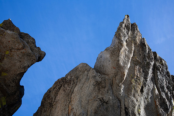 Reaching for the Sky - Sequoia