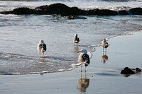At the Water's Edge
