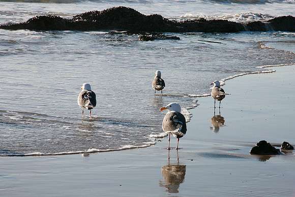 At the Water's Edge