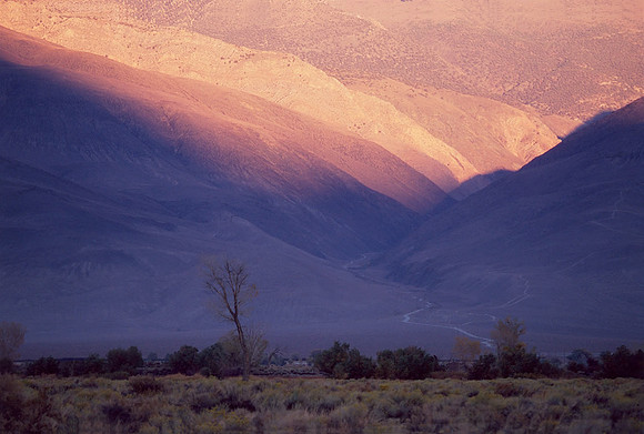 Layers of Evening Light - Bishop