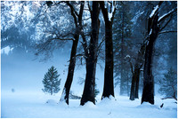 Yosemite